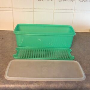 70's Jadeite Tupperware Celery Keeper - Plastic Tupperware - Food Storage